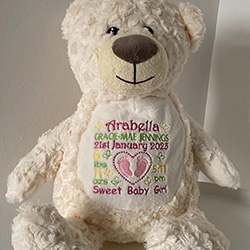 Embroidered teddy bear as a child's gift