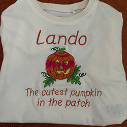 A children's' T-shirt wth Lando embroidered on it