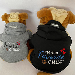 Embroidered dog coats on a pair of toys
